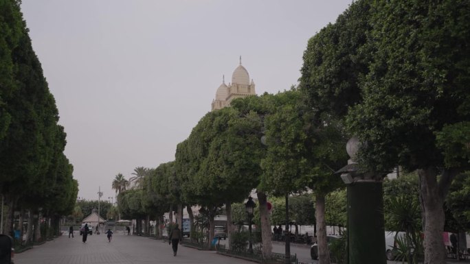 哈比布大街布尔吉巴突尼斯，突尼斯市中心，绿树成荫的中央步行街