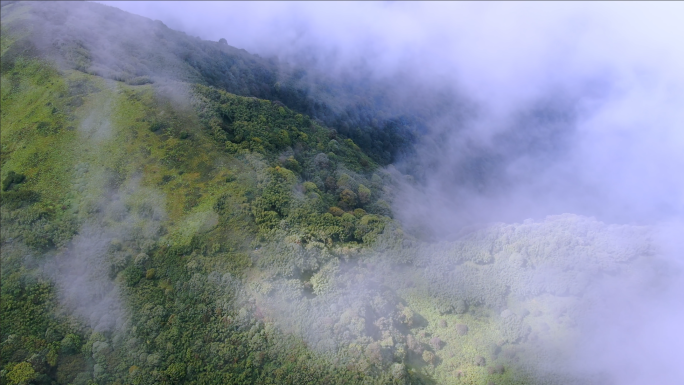 高黎贡山