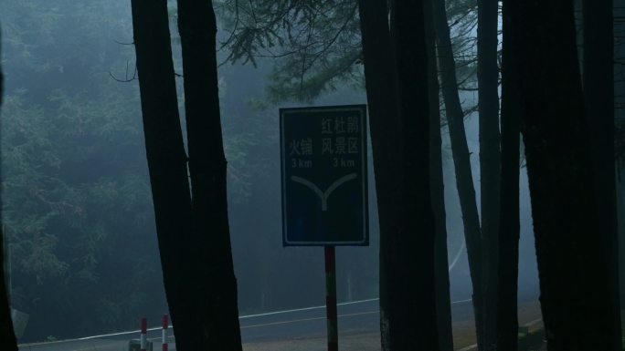 迷雾森林树林大自然大雾火铺杜鹃山