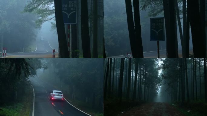 迷雾森林树林大自然大雾火铺杜鹃山