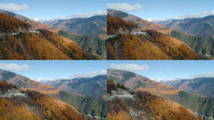 美丽秋天川西高原彩林航拍风景