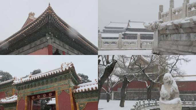 北京故宫紫禁城下雪雪景02