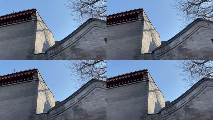 胡同 北京 古建筑 老树 国子监 树影