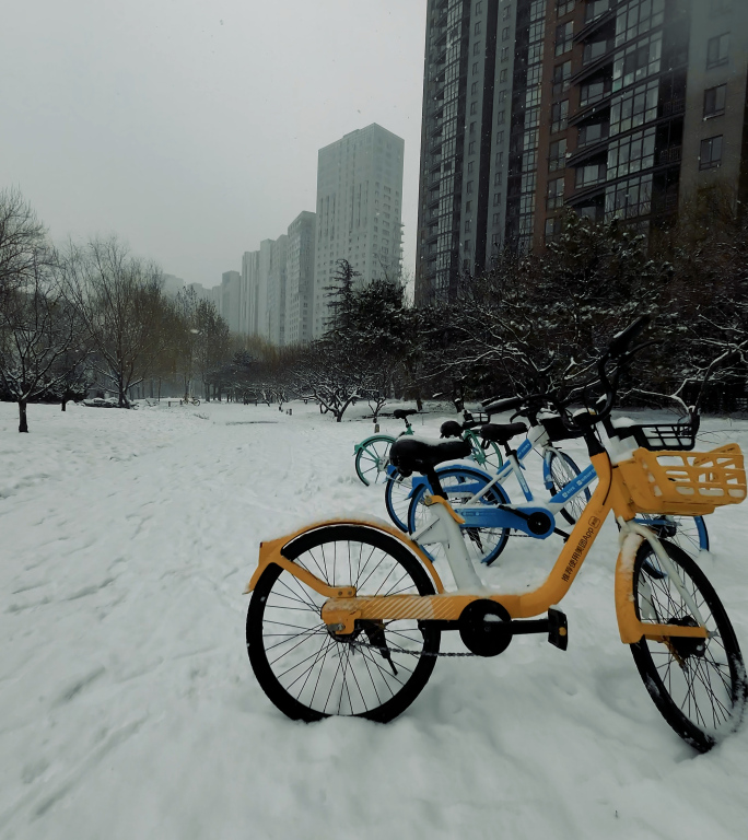 【4K】城市下雪公园雪景竖屏