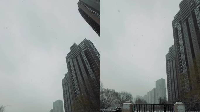 【4K】城市下雪公园雪景竖屏