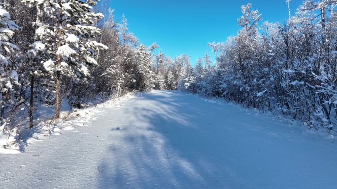 冬天酷寒深山老林大雪封路