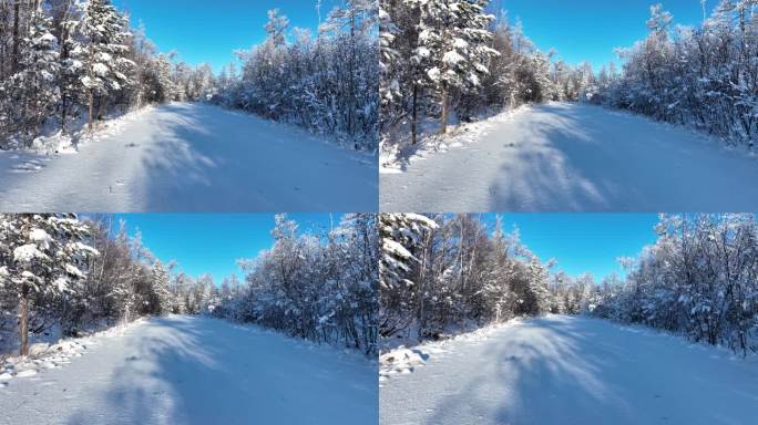 冬天酷寒深山老林大雪封路