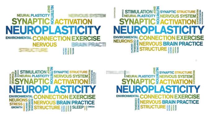 神经可塑性动画字云，动画文本动态排版无缝