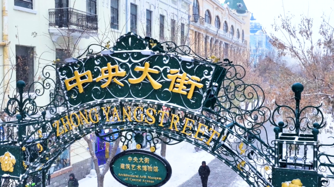 哈尔滨中央大街下雪