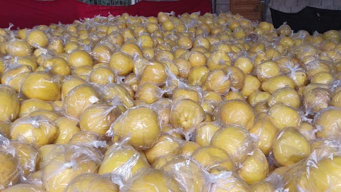 水果交易市场柚子堆存放沙田柚仓库柚子收获