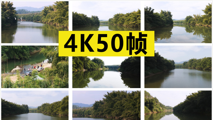 水边的凤尾竹素材合集 原创4K50帧