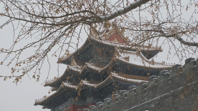 北京故宫紫禁城下雪雪景04