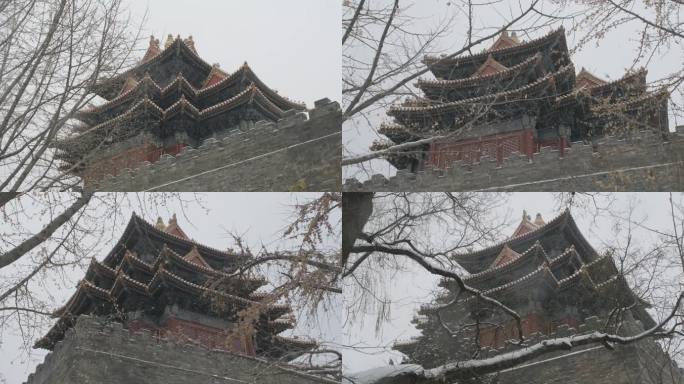 北京故宫紫禁城下雪雪景04