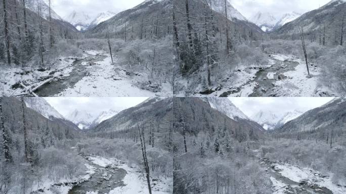 川西四姑娘山冬季双桥沟山谷溪流森林雪山