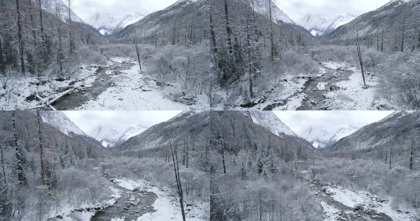 川西四姑娘山冬季双桥沟山谷溪流森林雪山