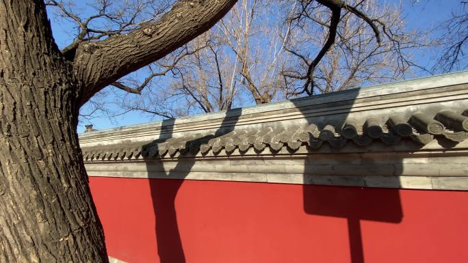 牌坊 北京 古建筑 老树 国子监 树影