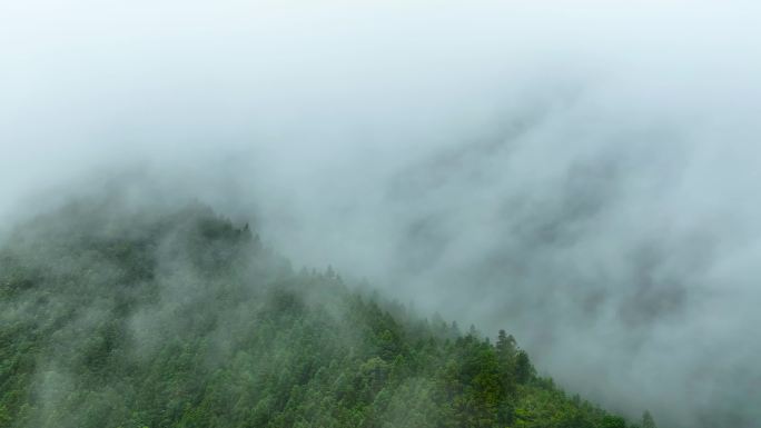 大山深山云雾云海