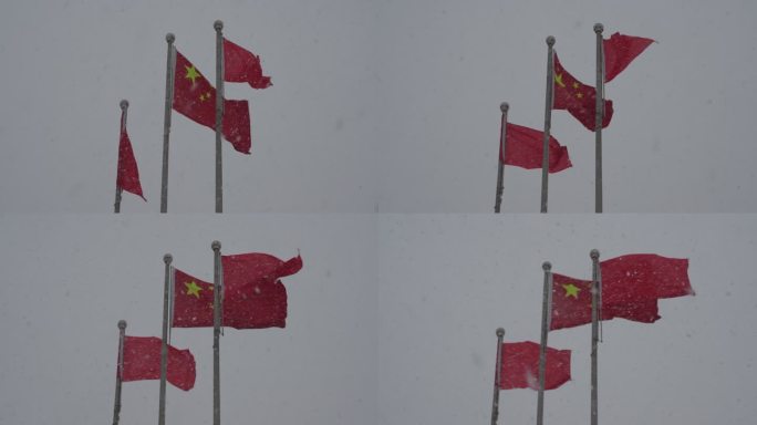 大雪中的国旗