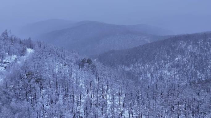 内蒙古大兴安岭冬季雾凇银装素裹飘雪