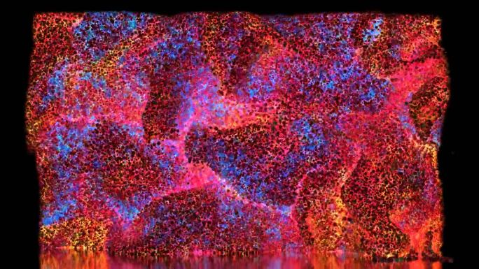 3D渲染抽象艺术视频动画，以荧光霓虹灯为基础，在黑色背景上形成紫色、橙色的发光小球，颗粒呈波浪曲线状