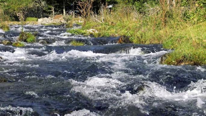 风景如画的莱姆萨姆河在绿油油的自然山间，欧洲、法国、奥西塔尼亚、上皮萨姆萨姆，夏天，阳光明媚的一天。