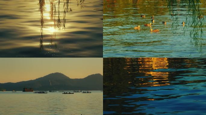 【4K】西湖 夕阳 阳光 湖面 杨柳 山