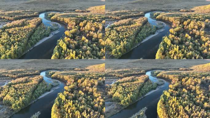 航拍秋季蜿蜒的森林河