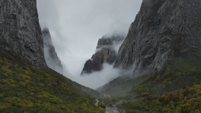 航拍原始森林云海扎尕那原始森林高山 峡谷