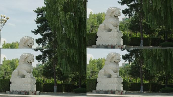 门口的狮子雕塑石狮子 柳树