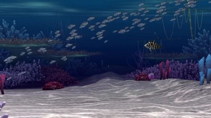 海底世界 海底生物 鱼 海鱼 鱼群