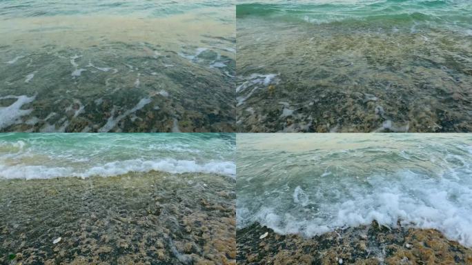海岸带的珊瑚板，慢镜头