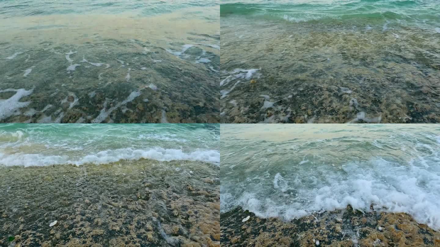 海岸带的珊瑚板，慢镜头