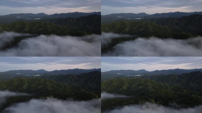 在印度尼西亚戈龙塔洛山脉的清晨日出时飞越云层。金色蓬松的云轻轻地划过天空，阳光洒下美丽的光芒