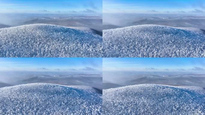 林海雪原 唯美高山雾凇