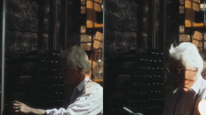SLO MO遗产揭幕:一个酒商的漫步在时间，一瓶在手，酒厂，葡萄酒，酒窖。斯洛文尼亚普雷基亚地区