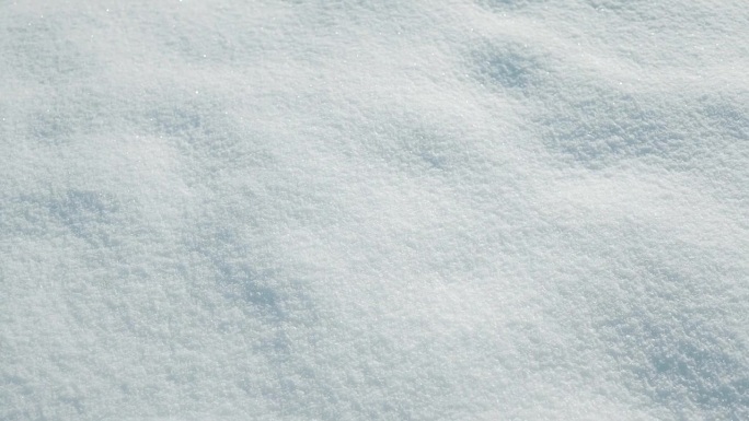 活跃的爱尔兰塞特犬在雪地里散步，在冬天的公园里玩耍。高质量的全高清镜头