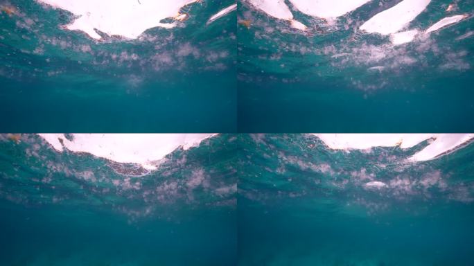 加勒比海的海鞘-超级慢动作4K 120fps