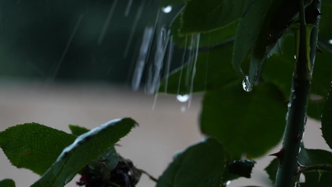 一场暴雨的4K视频，有闪电和雷声，可听和被动的雨滴声