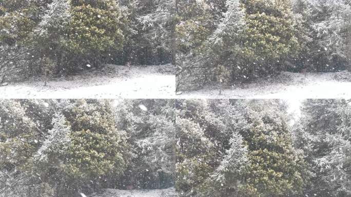 西藏 公路 大雪 下雪