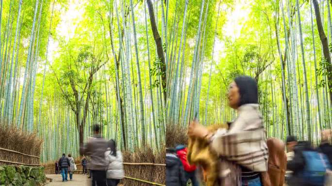 时间摄影岚山竹林来自世界各地的游客来享受大自然的冬秋日本京都县关西地区