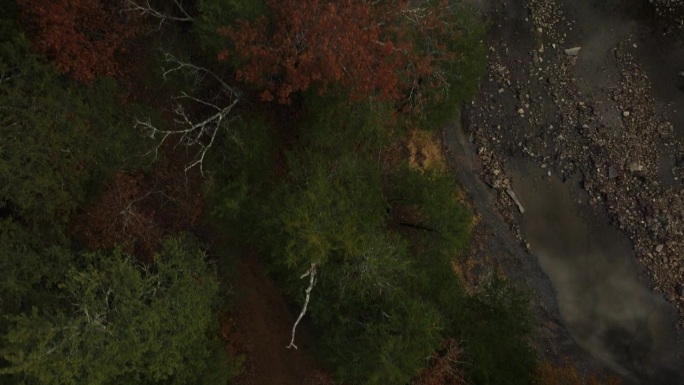 上图是美国阿肯色州班亚德市雪松平原上的秋树和小溪。无人机航拍