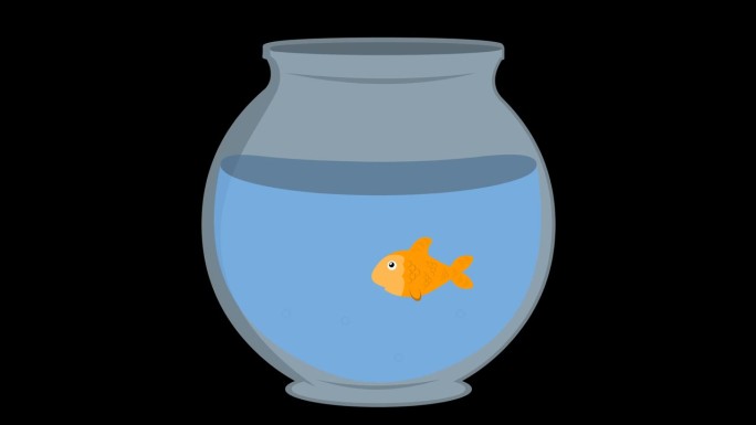 视频动画金鱼移动鱼缸