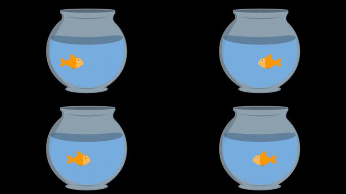 视频动画金鱼移动鱼缸