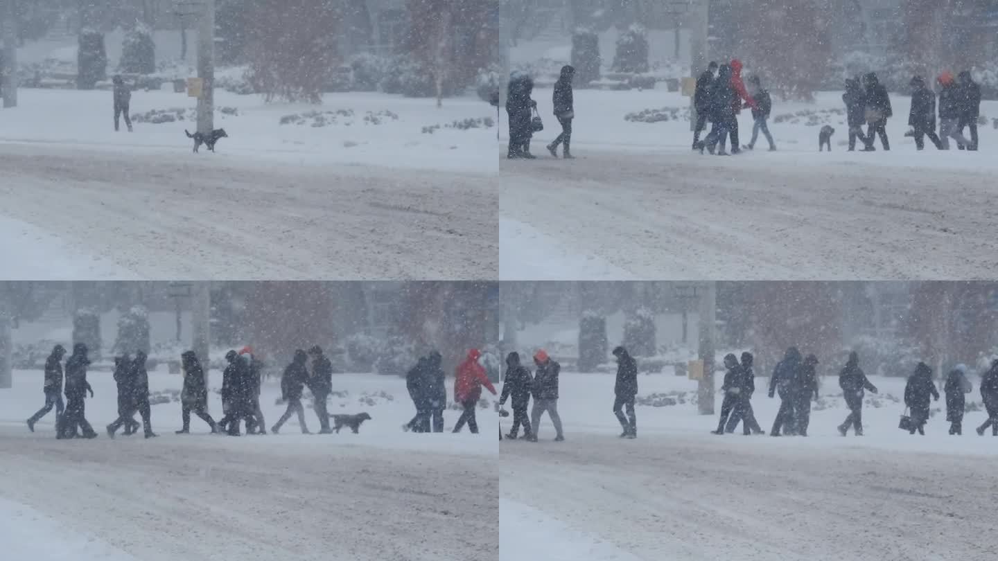 暴风雪中城市街道上车辆和行人的交通状况