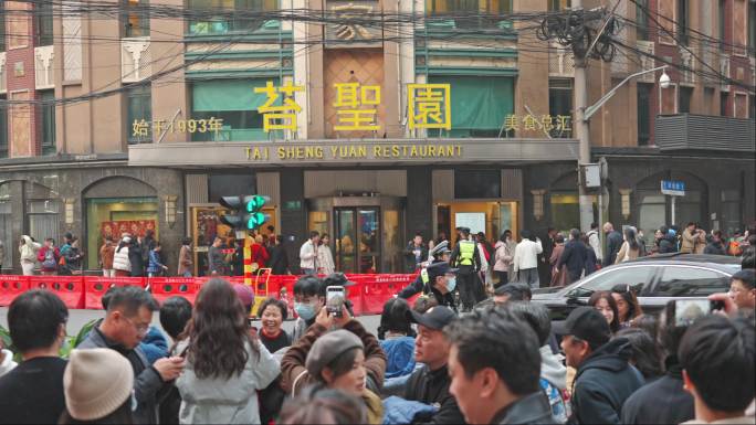 上海苔圣园至真园黄河路路人游客人流