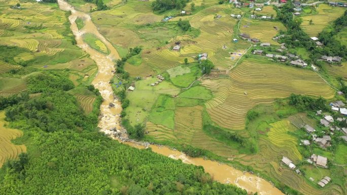 一条漫溢的河流，在青山的边缘，在青黄的稻田的中心，在亚洲，在越南，在东京，在萨帕，朝着老蔡，在夏天，