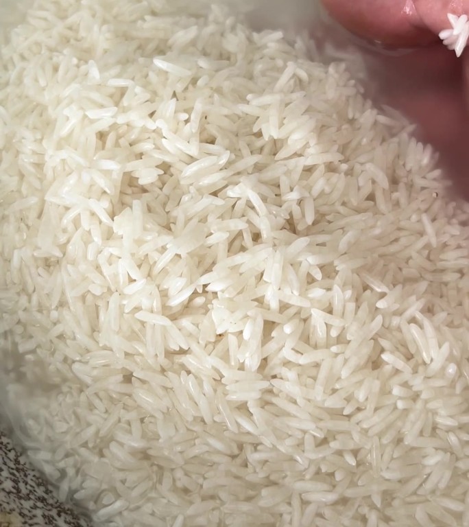 洗米视频、长粒香米、猫牙米、洗大米的拍摄