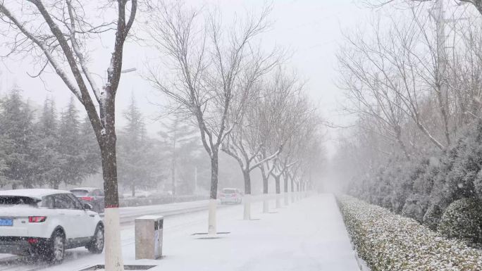 城市大雪出行 雪景【5段】