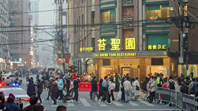 上海苔圣园至真园黄河路路人游客人流