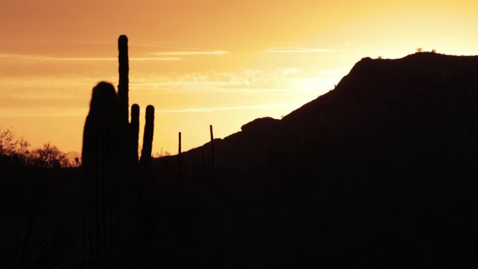 仙人掌沙漠日落，盐河，亚利桑那州
